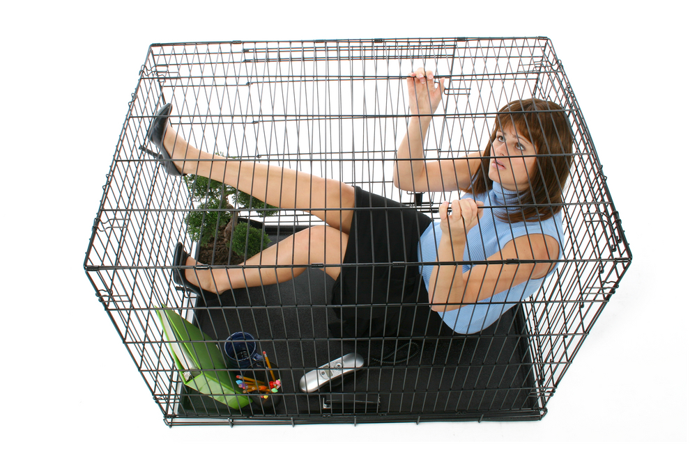 Why do Butterflies have to struggle?