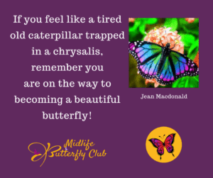 Jean Macdonald - chrysalis